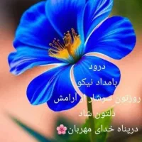 آماده مشارکت درسرمایه گذار جهت احداث قالیشویی