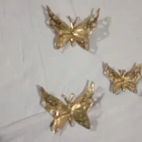 پروانه وپرستوی تزیینی