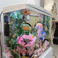 آکواریوم خوشگل شرکتی با تمام وسایل در حد نو|ماهی|قوچان, |دیوار
