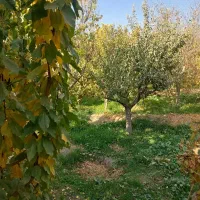 ۲۵۰متر باغچه شهریار ۴ دیوار مناسب ساخت ویلا