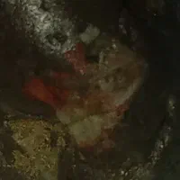 سنگ آسمانی|کلکسیون اشیاء عتیقه|رشت, فلسطین|دیوار