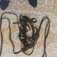 لوازم نگهداری اسب|اسب و تجهیزات اسبسواری|کندوان, |دیوار