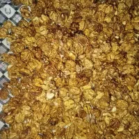 فروش مغز گردوی تازه