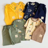 قشنگترین ست تیشرت شلوارک داینو برای کوچولوها