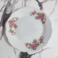 خورشت خوری و پلو خوری گل سرخ