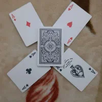 پاسور کیم