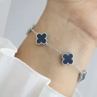 بدلیجات مانی سا|بدلیجات|گناباد, |دیوار