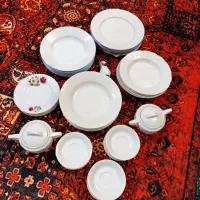 ظروف چینی