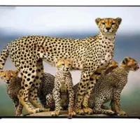 تلویزیون اپلاس ۶۵ اینچ اقساط ۲۴ ماه با اعتبار سنجی