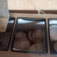 فریزر صندوقی تمام استیل|یخچال و فریزر|دزفول, |دیوار