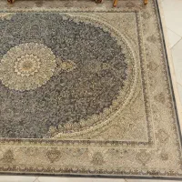 فرش و کناره|فرش|مشهد, رضاشهر|دیوار