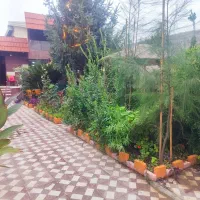 اجاره رستوران|اجارهٔ مغازه و غرفه|آکند, |دیوار