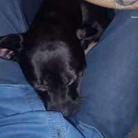 فروش کن کورسو