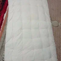 تشک پشمی