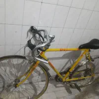 کورسی شیمانوژاپن