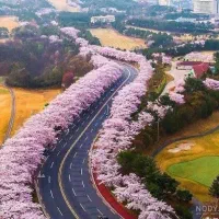 مشاوره اپلای کردن