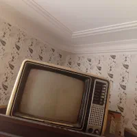 تلویزیون قدیمی معاوضه با مرغ عشق