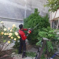 خدمات باغبانی و فضای سبز گل چمن نهال هرس و...