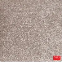 موکت پالاز|موکت|رشت, گلسار|دیوار