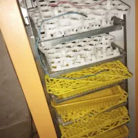 دستگاه جوجه کشی ۲۵۲ تایی سیمرغ