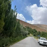 تور تفریحی