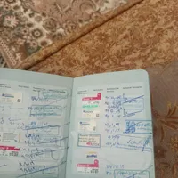درود ۱ عدد سگ اشپیز تییر|سگ|پردیس, |دیوار