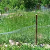 زمین چسب بافت روستای مرجان طالقان|فروش زمین و ملک کلنگی|طالقان, |دیوار