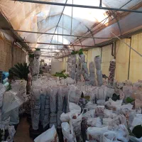 باربری / حمل گل‌های آپارتمانی و حمل اثاثیه|خدمات حمل و نقل|محلات, |دیوار