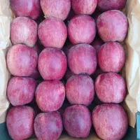 فروش سیب قرمز