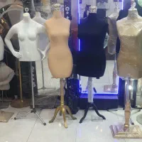 ای بی اس دار مانکن اتوخور و سوزن خور رگال دار قفسه