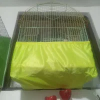 عروس هلندی پیدا شده