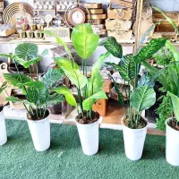 گل وگلدان مصنوعی نقدوقسطی