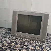 تلوزیون