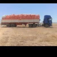 کاه گندم دیمه