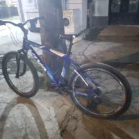 دوچرخه ویوا اصل