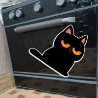 طرح فر سالم