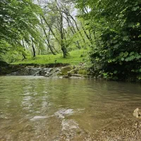 تور شمال .بابلسر .پارک جنگلی نور .دریاچه الیمالات