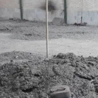 جمع آوری فضله کبوتر و تمیز کردن سوله و لانه کبوتر