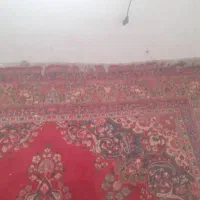 فرش دستباف طبیعی  (فوری)|فرش|اسفراین, |دیوار