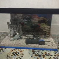 آکواریوم با لوازم