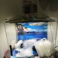 آکواریوم شیشه خم 60*40*40|ماهی|تهران, جوادیه تهرانپارس|دیوار