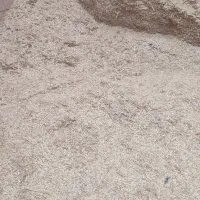 کاه گندم امسال مال انبارکمباین|حیوانات مزرعه|شوشتر, |دیوار