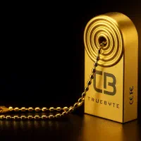 فلش  truebyte  مدل T3 64 gig