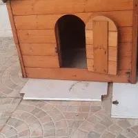 لانه مناسب حیوان خانگی ضد آب|لوازم جانبی حیوانات|دورود, |دیوار