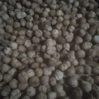 گردو تازه روستای گروه کیلو ۴۰۰هزار|حراج|چناران, |دیوار