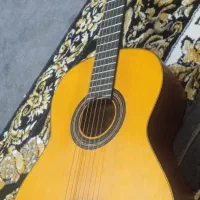 گیتار اموزشی|گیتار، بیس، امپلیفایر|یزد, |دیوار