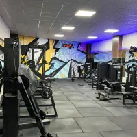 فروش تجهیزات بدنسازی|تجهیزات ورزشی|رشت, کاکتوس|دیوار