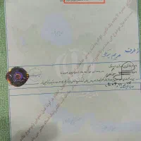فروش ۲۳۰۰ متری|فروش دفتر صنعتی، کشاورزی، تجاری|اهواز, اهواز|دیوار
