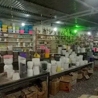 گلدان و حوض