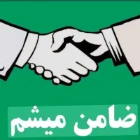 ضامن میشم
